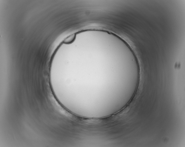 X0000112821392200909111312