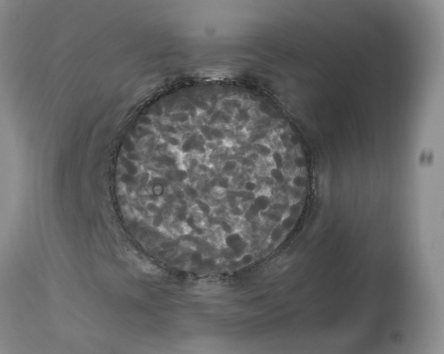 X0000112821393200909111311