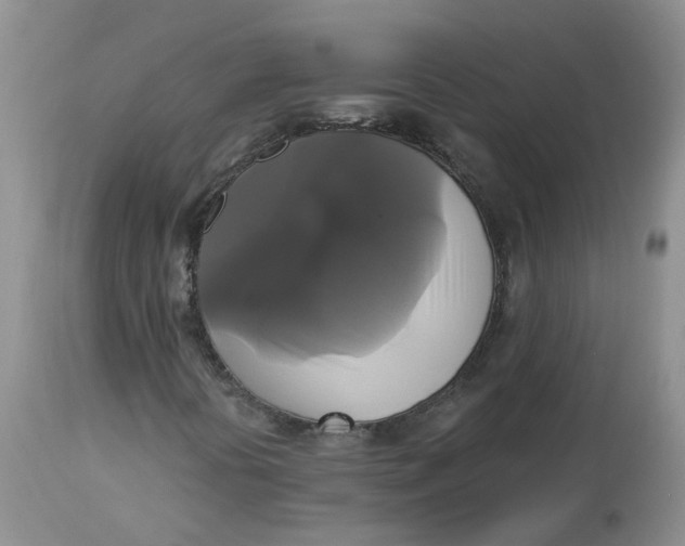 X0000112821394200909111311