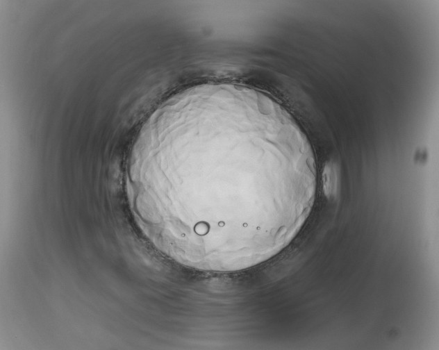 X0000112821395200909111311