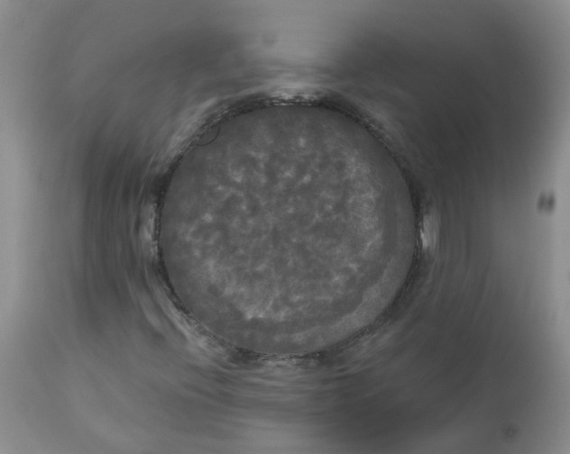 X0000112821396200909111311