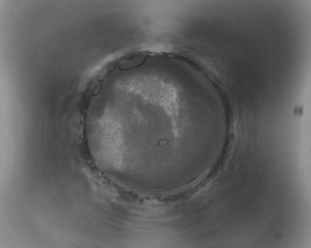 X0000112821398200909111311