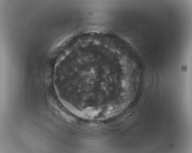 X0000112821399200909111311