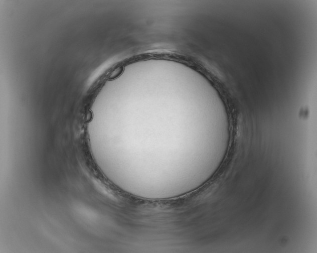 X0000112821400200909111311