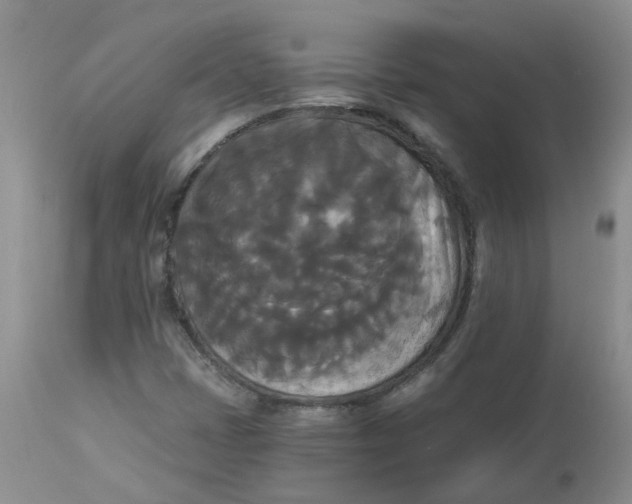 X0000112821401200909111311