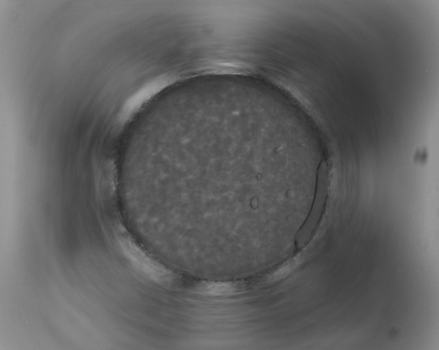 X0000112821402200909111311