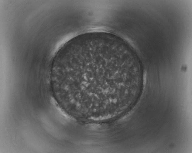 X0000112821405200909111311