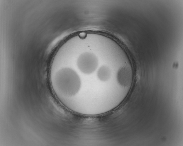 X0000112821406200909111311