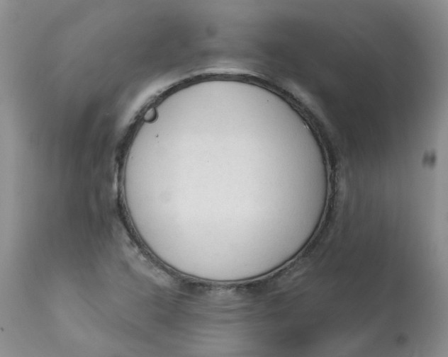 X0000112821408200909111312