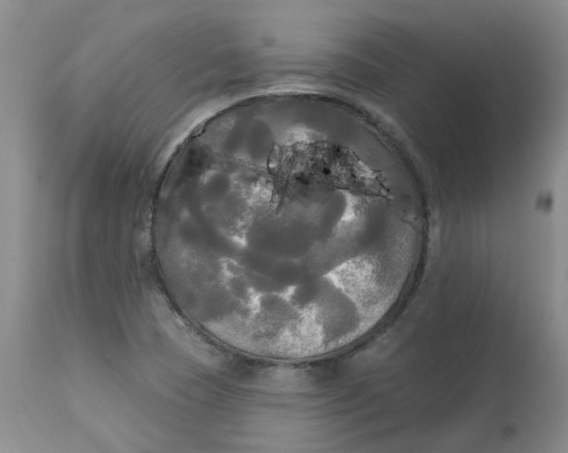 X0000112821409200909111312