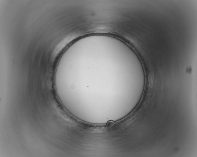 X0000112821410200909111312