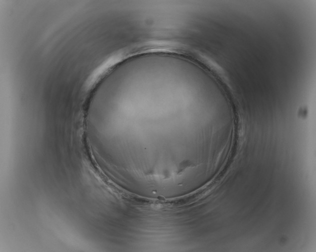 X0000112821411200909111312