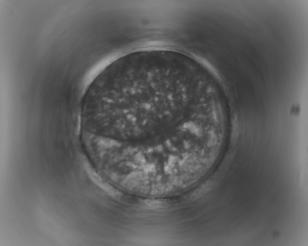 X0000112821413200909111312