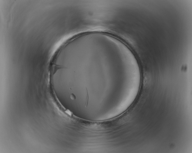 X0000112821414200909111312