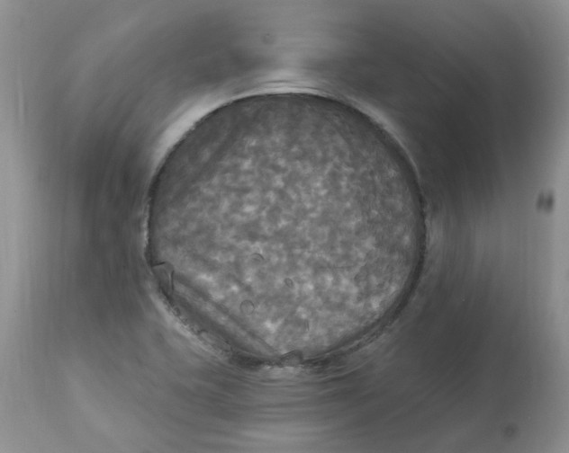 X0000112821415200909111312