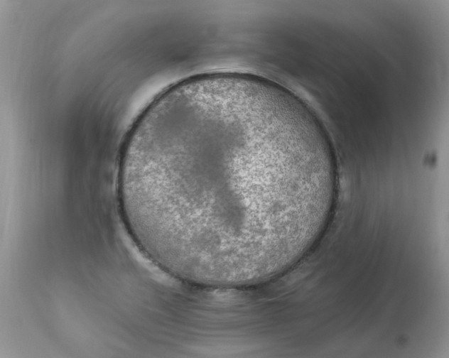 X0000112821416200909111312