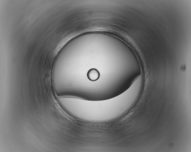 X0000112821417200909111312