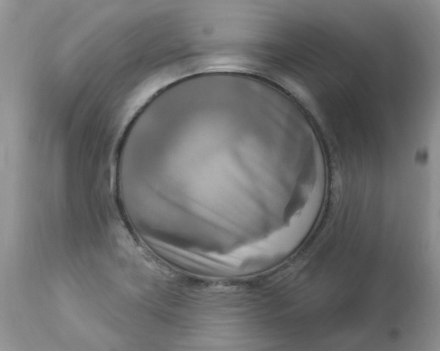 X0000112821419200909111312