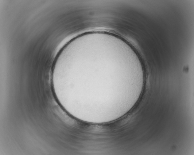 X0000112821420200909111312