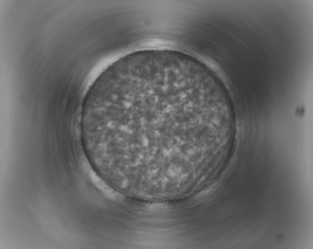 X0000112821421200909111312