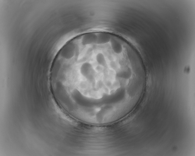 X0000112821423200909111312