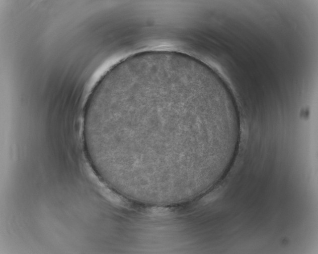 X0000112821424200909111312