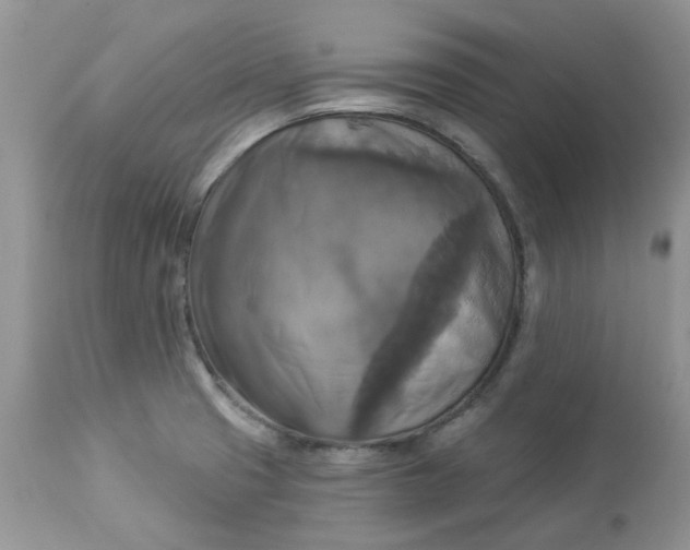 X0000112821425200909111312