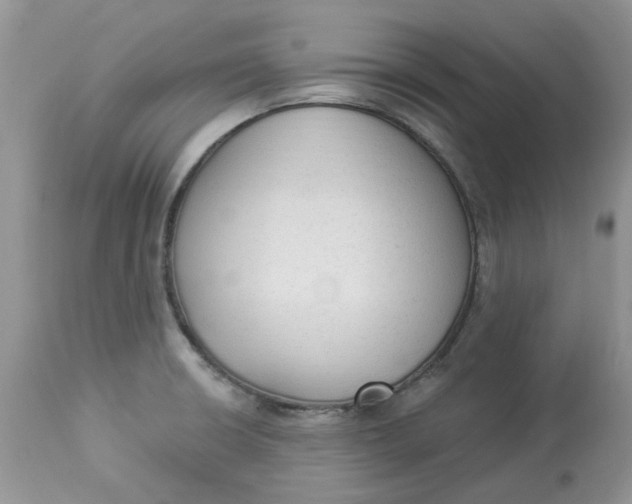 X0000112821426200909111312