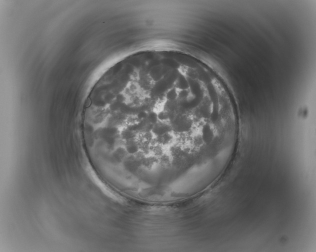 X0000112821429200909111312