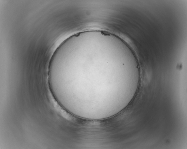 X0000112821431200909111312