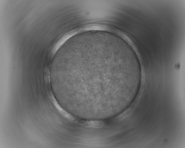 X0000112821433200909111312