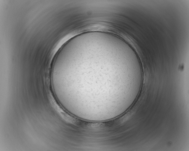 X0000112821434200909111312