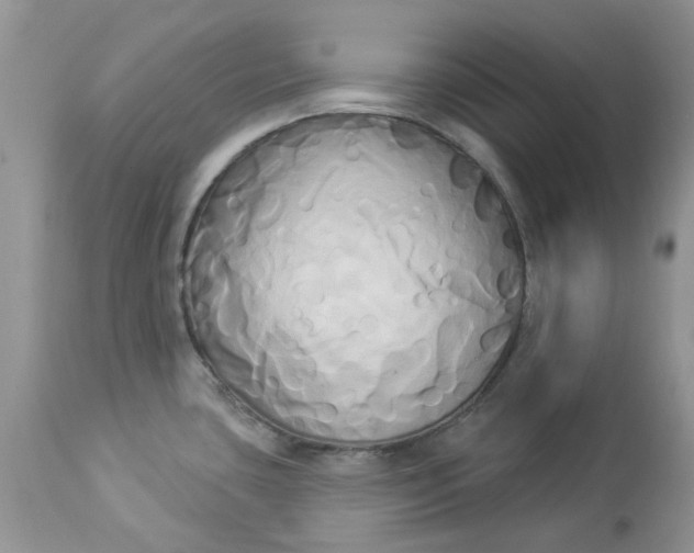 X0000112821435200909111312