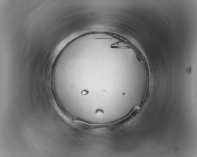 X0000112821437200909111312