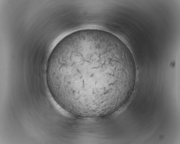 X0000112821438200909111312