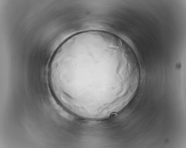 X0000112821439200909111312