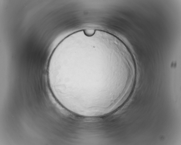 X0000112821440200909111312