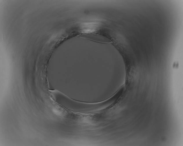 X0000112821441200909111311