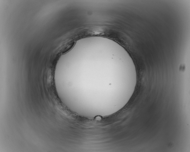 X0000112821442200909111311