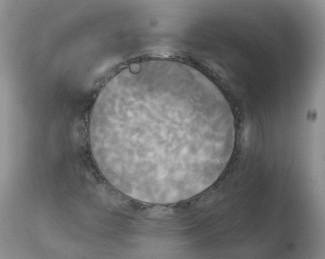 X0000112821446200909111311