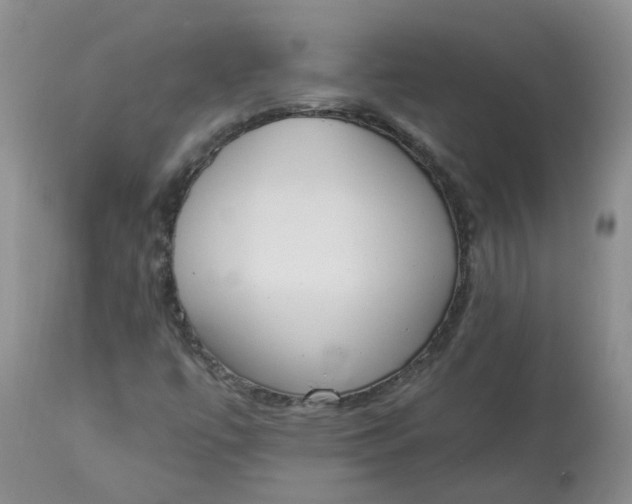 X0000112821447200909111311