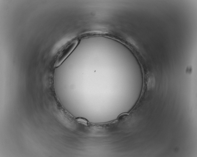 X0000112821448200909111311