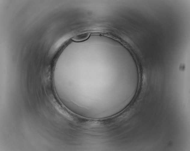 X0000112821450200909111311