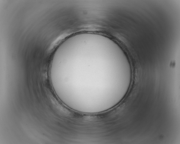 X0000112821451200909111311