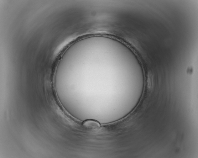 X0000112821452200909111311