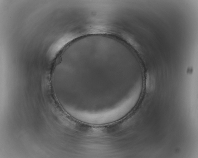 X0000112821453200909111311