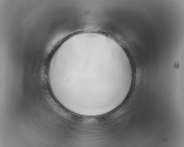 X0000112821454200909111311