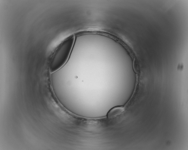 X0000112821456200909111311