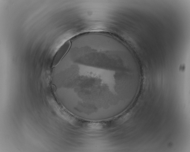 X0000112821457200909111311