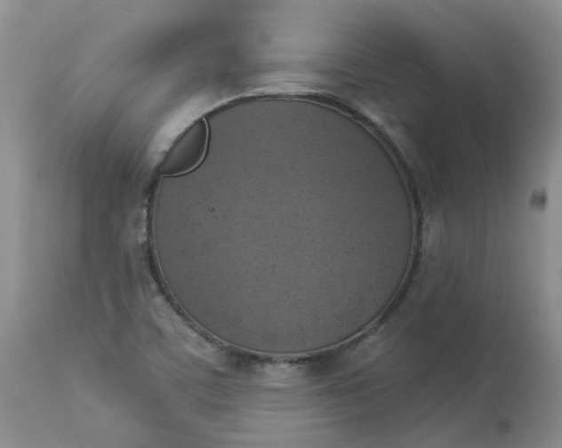 X0000112821459200909111311